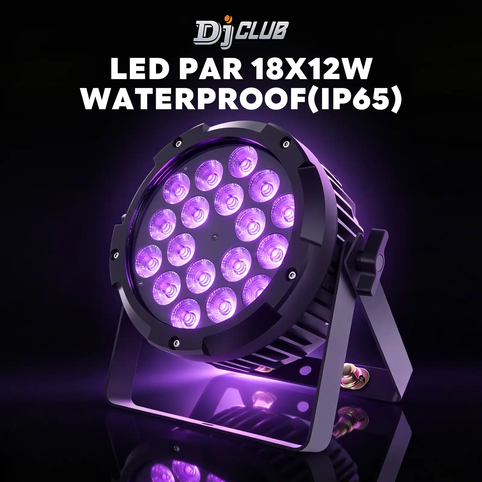 LED PAR 18X12W WATERPROOF